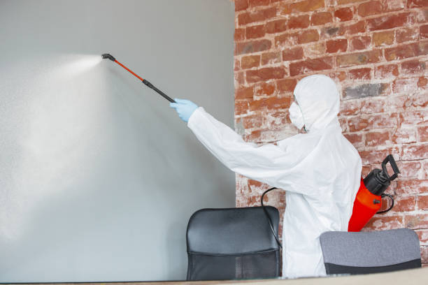Mold Odor Removal Services in Juniper Canyon, OR