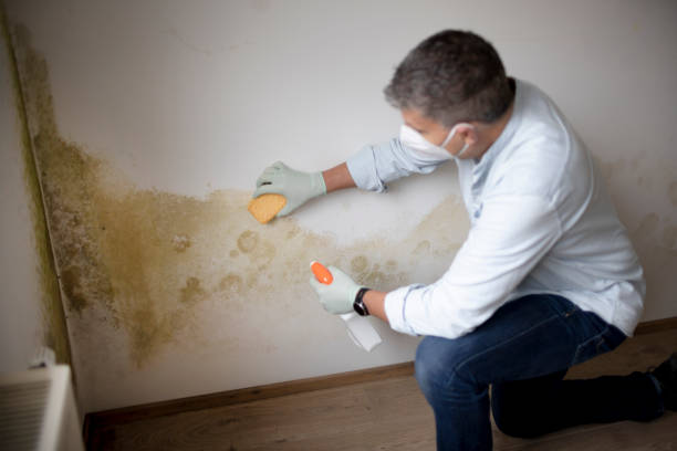 Best Post-Construction Mold Inspection  in Juniper Canyon, OR