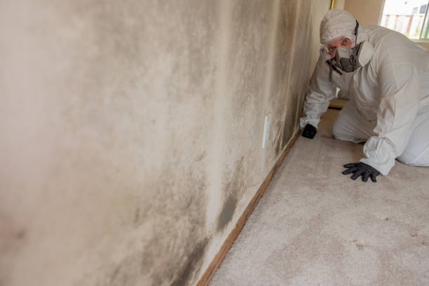 Best Real Estate Mold Inspection  in Juniper Canyon, OR